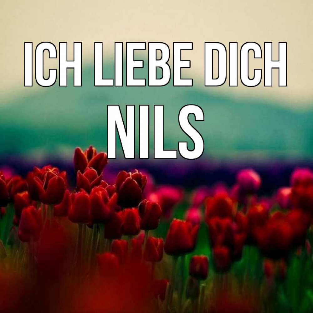Открытка на каждый день с именем, Nils Ich liebe dich тюльпаны 4 Прикольная открытка с пожеланием онлайн скачать бесплатно 