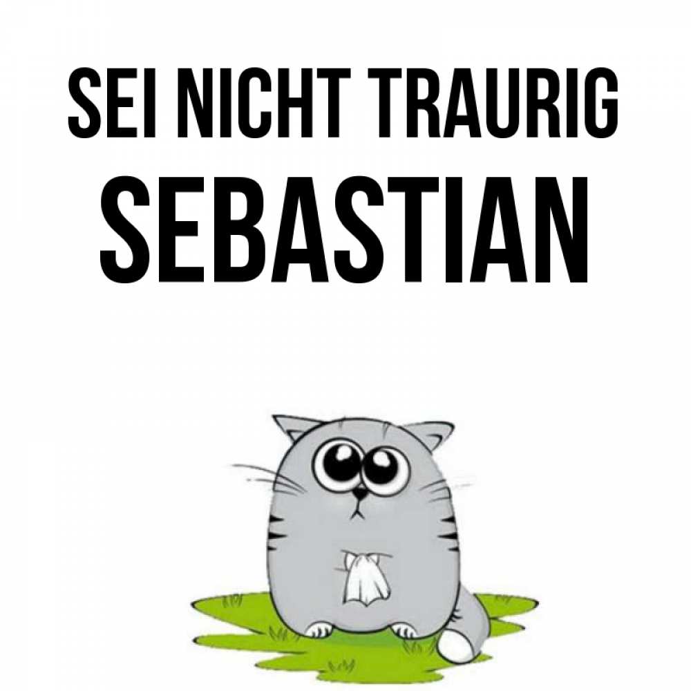 Открытка на каждый день с именем, Sebastian Sei nicht traurig грустный котяра Прикольная открытка с пожеланием онлайн скачать бесплатно 