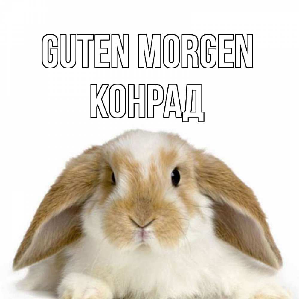 Открытка на каждый день с именем, Конрад Guten Morgen прикольные открытки на каждый день Прикольная открытка с пожеланием онлайн скачать бесплатно 