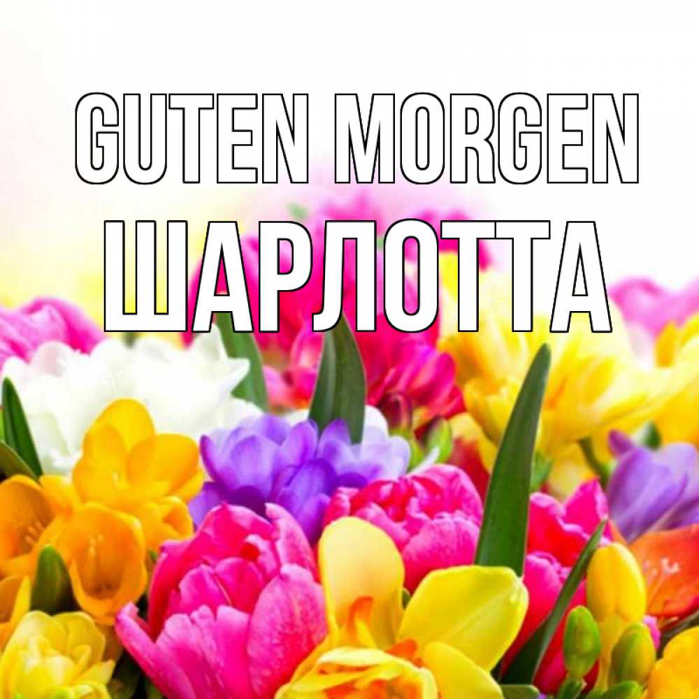 Открытка на каждый день с именем, Шарлотта Guten Morgen создать открытку со свое подписью Прикольная открытка с пожеланием онлайн скачать бесплатно 