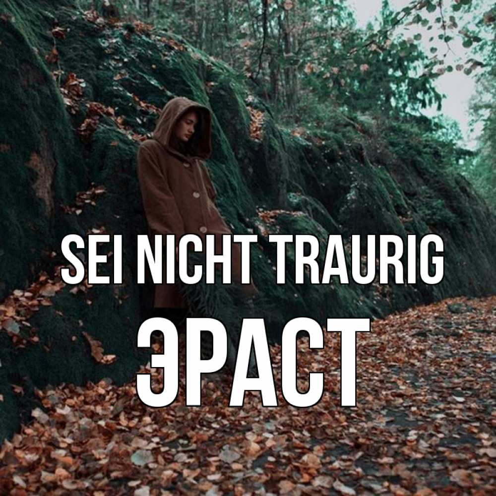 Открытка на каждый день с именем, Эраст Sei nicht traurig осенний лес Прикольная открытка с пожеланием онлайн скачать бесплатно 