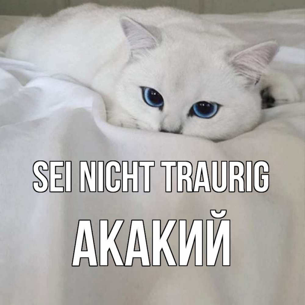 Открытка на каждый день с именем, Акакий Sei nicht traurig белый кот с голубыми глазами на белоснежной кровати Прикольная открытка с пожеланием онлайн скачать бесплатно 