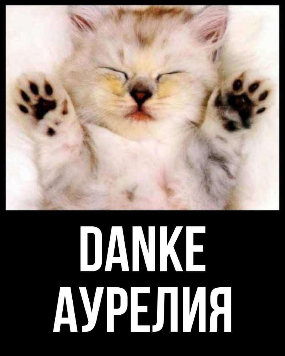 Открытка на каждый день с именем, Аурелия Danke маленький котенок Прикольная открытка с пожеланием онлайн скачать бесплатно 