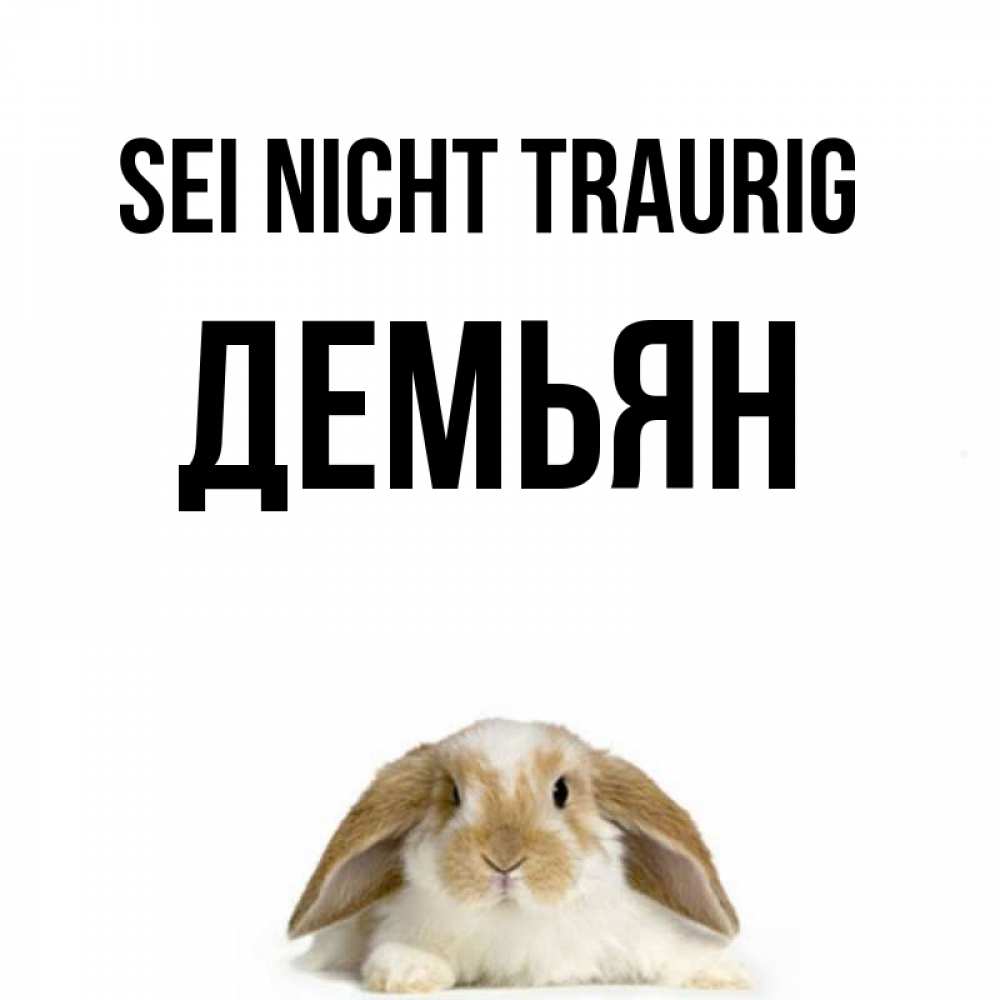 Открытка на каждый день с именем, Демьян Sei nicht traurig коричнево белый заяц с большими ушками Прикольная открытка с пожеланием онлайн скачать бесплатно 
