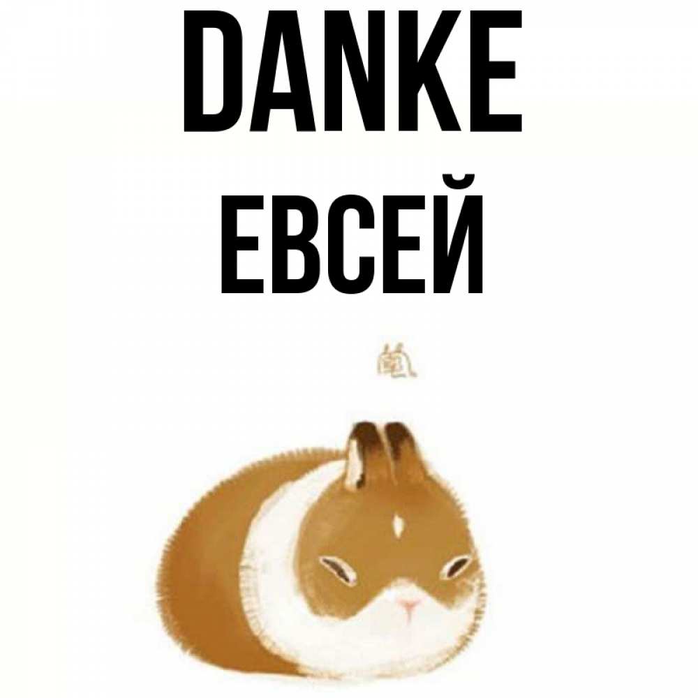 Открытка на каждый день с именем, Евсей Danke коричнево белый домашний питомец Прикольная открытка с пожеланием онлайн скачать бесплатно 