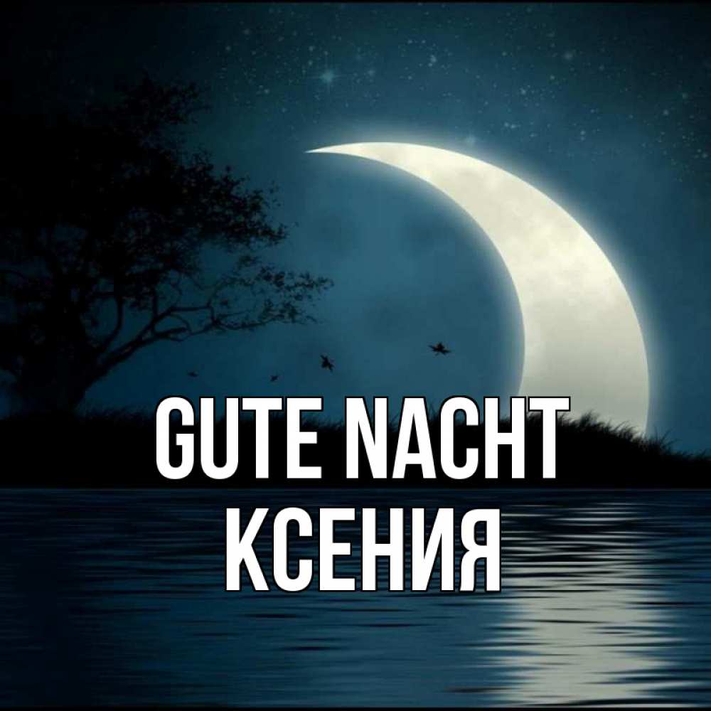 Открытка на каждый день с именем, Ксения Gute Nacht вода Прикольная открытка с пожеланием онлайн скачать бесплатно 