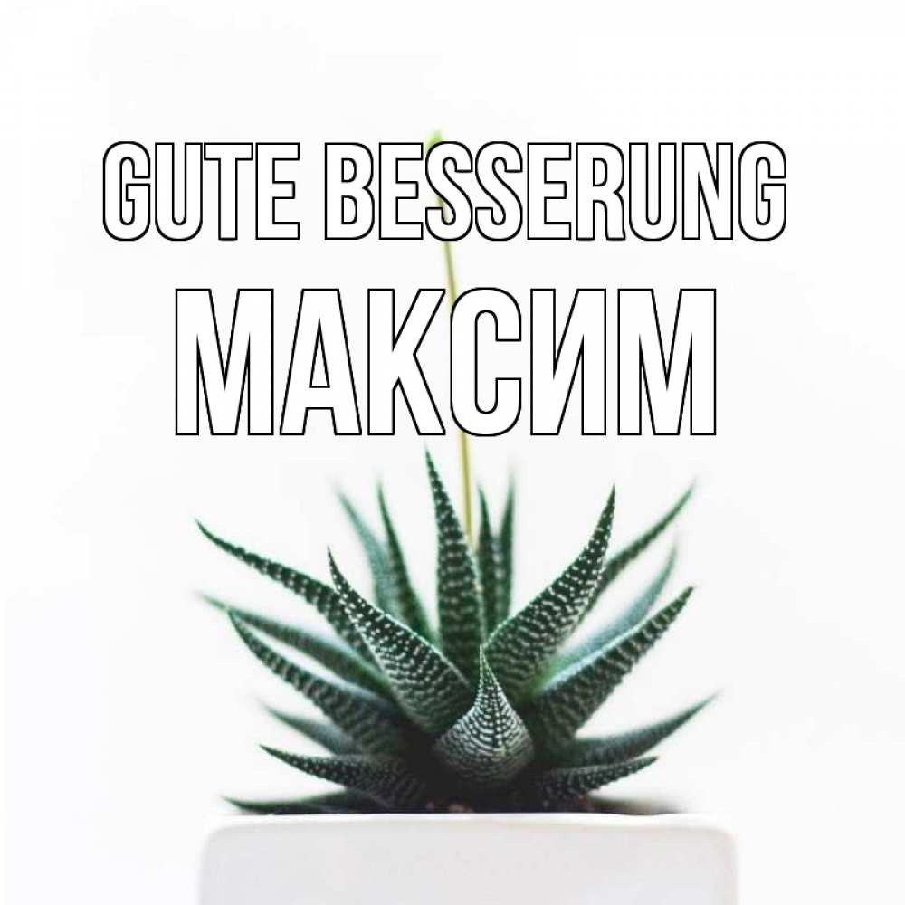 Открытка на каждый день с именем, Максим Gute Besserung короче это непонятная колючка Прикольная открытка с пожеланием онлайн скачать бесплатно 
