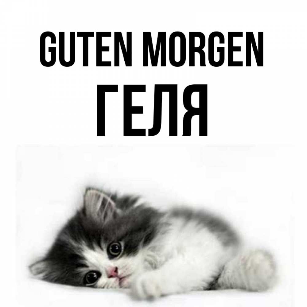 Открытка на каждый день с именем, Геля Guten Morgen кот лапки Прикольная открытка с пожеланием онлайн скачать бесплатно 