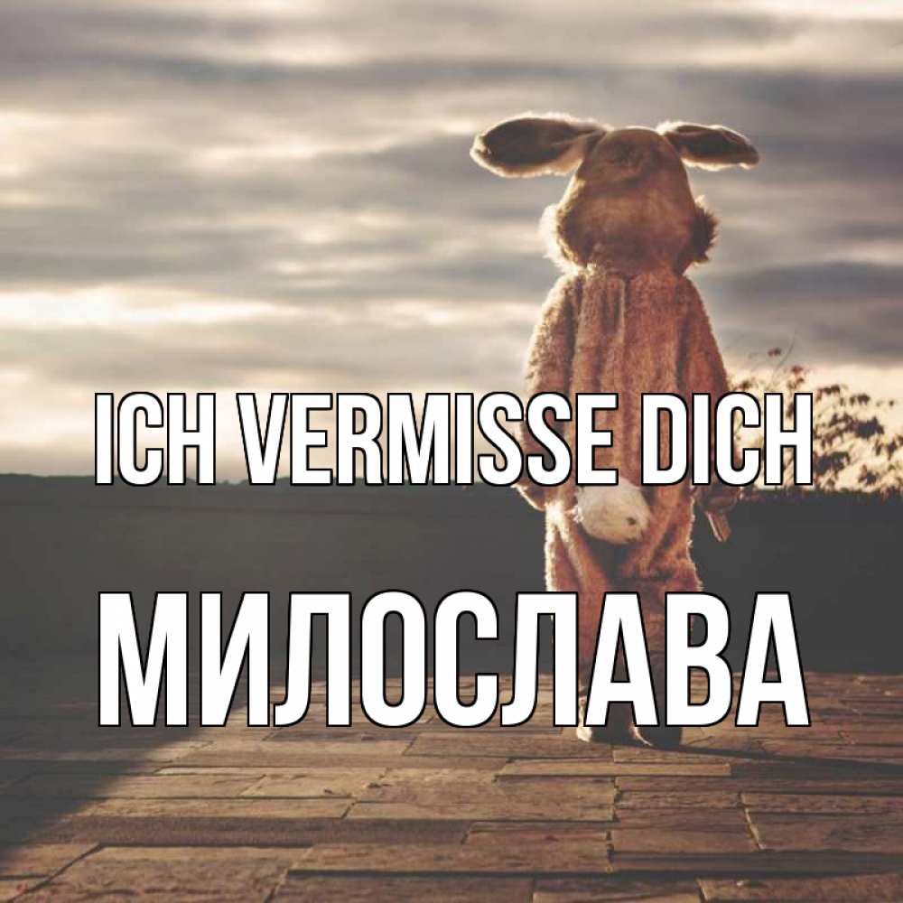 Открытка на каждый день с именем, Милослава Ich vermisse dich даже в костюме зайца Прикольная открытка с пожеланием онлайн скачать бесплатно 