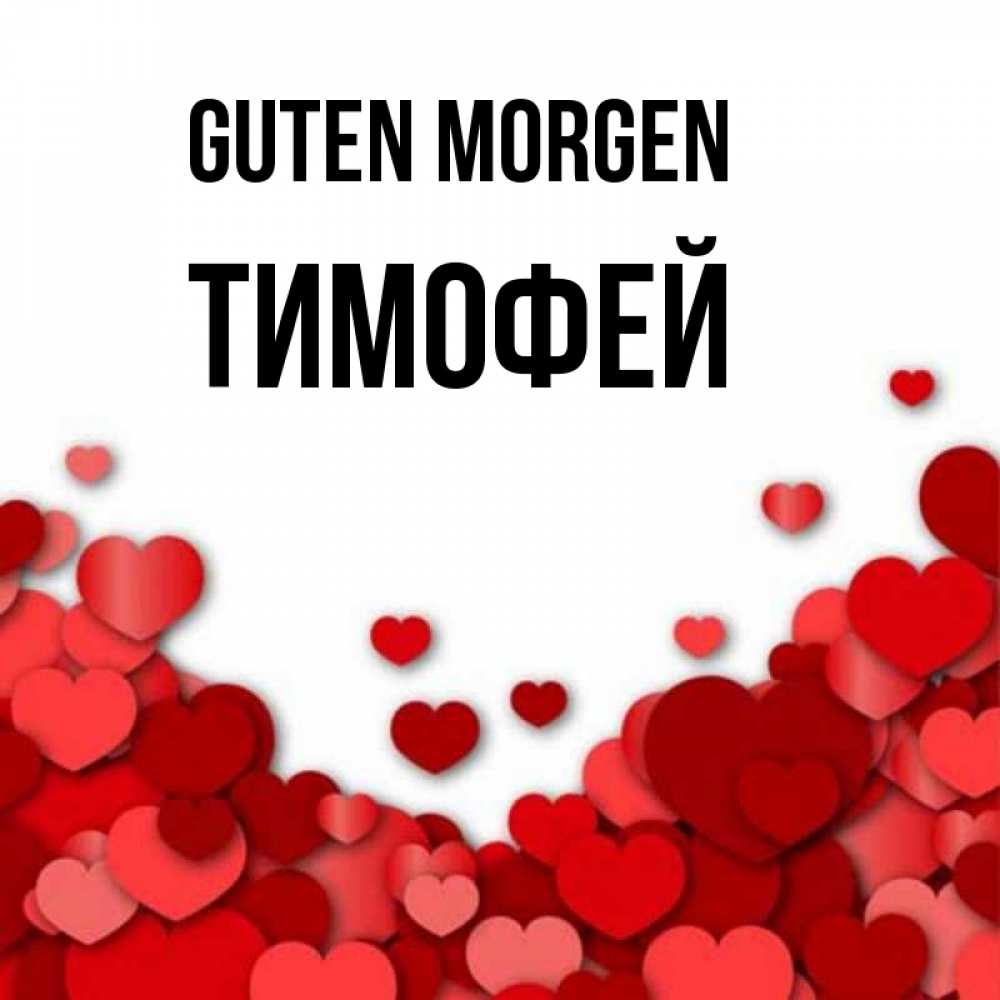Открытка на каждый день с именем, Тимофей Guten Morgen хорошего настроения Прикольная открытка с пожеланием онлайн скачать бесплатно 