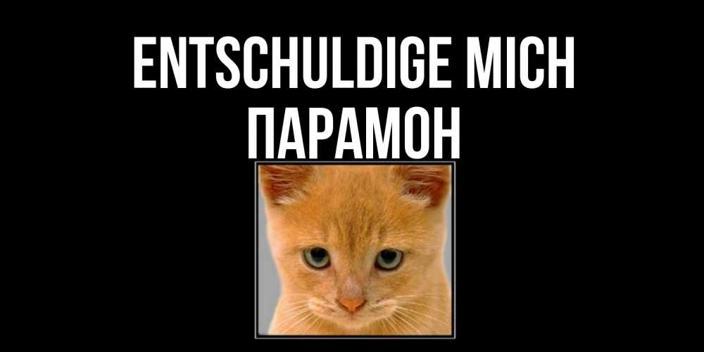 Открытка на каждый день с именем, Парамон Entschuldige mich рыжий грустный кот просит прощения Прикольная открытка с пожеланием онлайн скачать бесплатно 