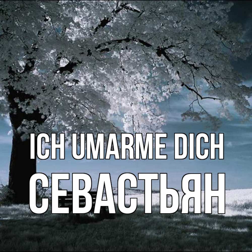 Открытка на каждый день с именем, Севастьян Ich umarme dich дерево Прикольная открытка с пожеланием онлайн скачать бесплатно 