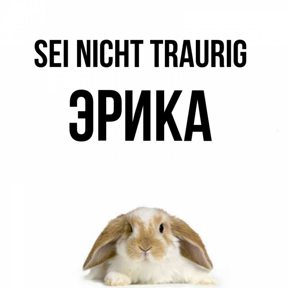 Открытка на каждый день с именем, Эрика Sei nicht traurig коричнево белый заяц с большими ушками Прикольная открытка с пожеланием онлайн скачать бесплатно 