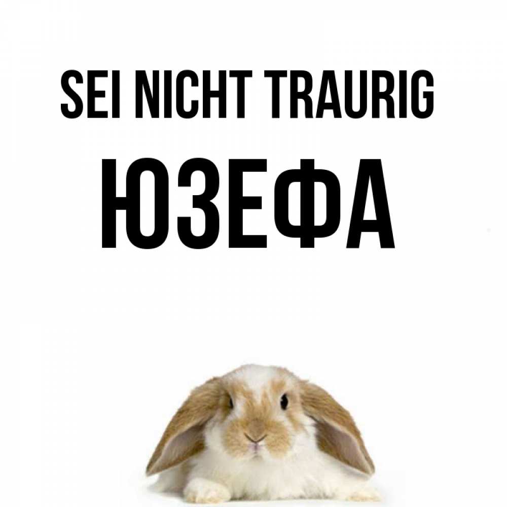 Открытка на каждый день с именем, Юзефа Sei nicht traurig коричнево белый заяц с большими ушками Прикольная открытка с пожеланием онлайн скачать бесплатно 