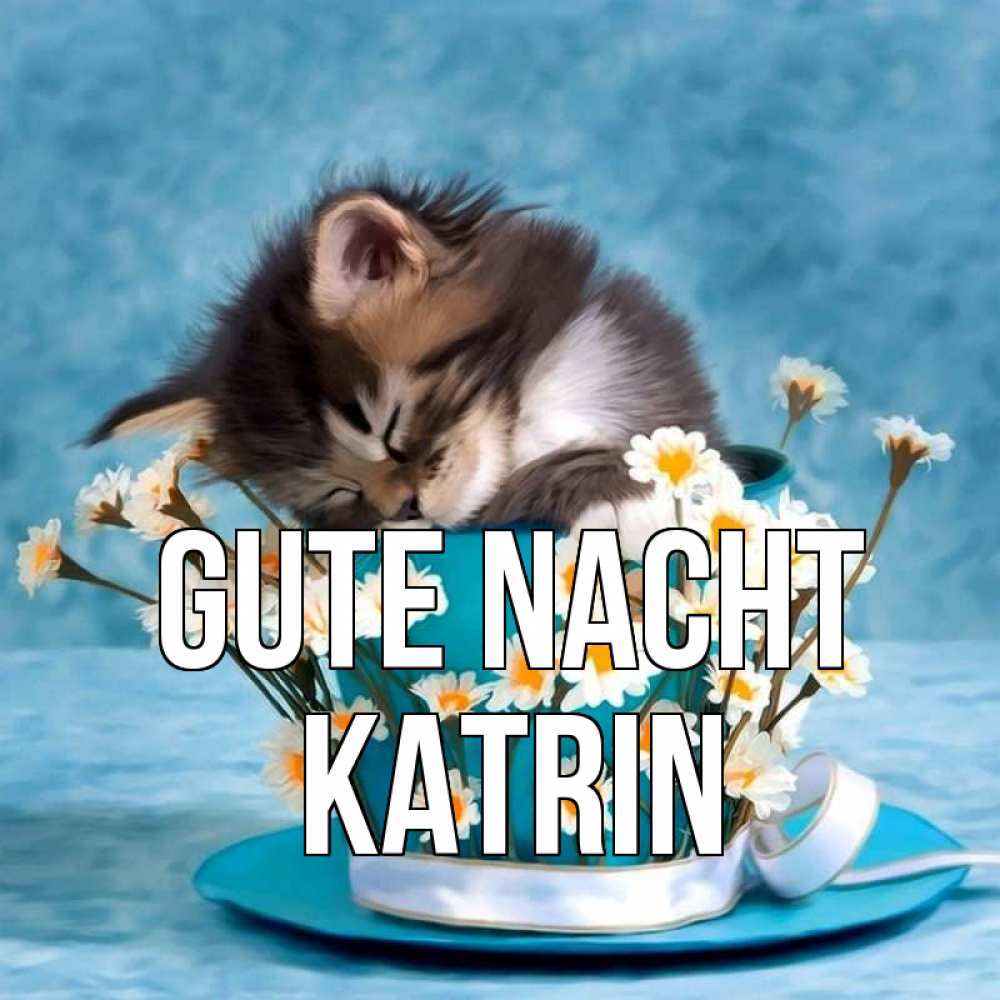Открытка на каждый день с именем, Katrin Gute Nacht котенок спит в кружке с блюдцем Прикольная открытка с пожеланием онлайн скачать бесплатно 