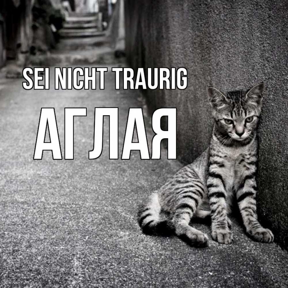 Открытка на каждый день с именем, Аглая Sei nicht traurig скучающий котик Прикольная открытка с пожеланием онлайн скачать бесплатно 