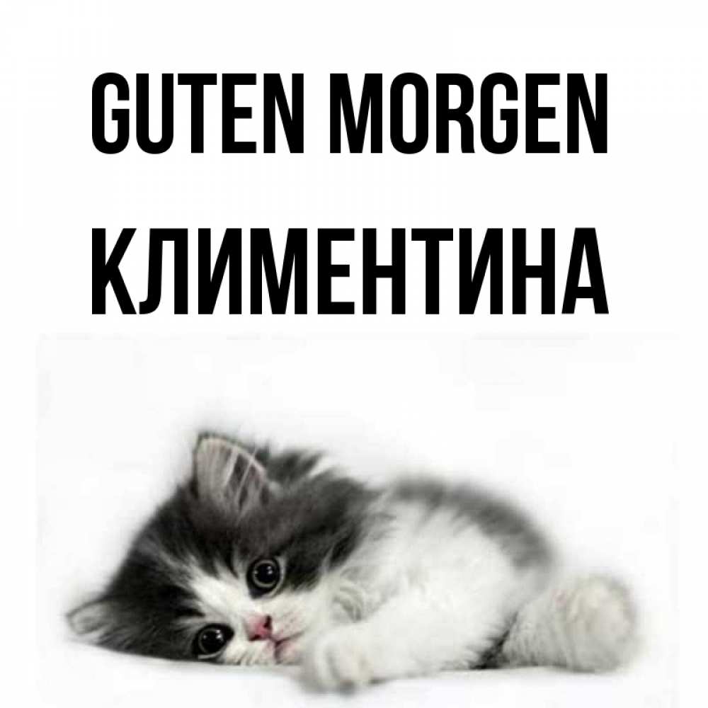 Открытка на каждый день с именем, Климентина Guten Morgen кот лапки Прикольная открытка с пожеланием онлайн скачать бесплатно 