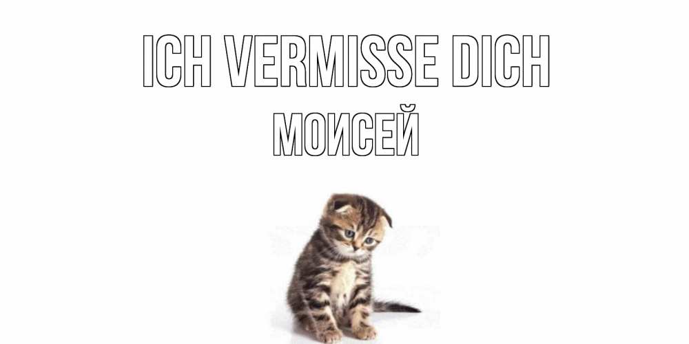 Открытка на каждый день с именем, Моисей Ich vermisse dich кот Прикольная открытка с пожеланием онлайн скачать бесплатно 