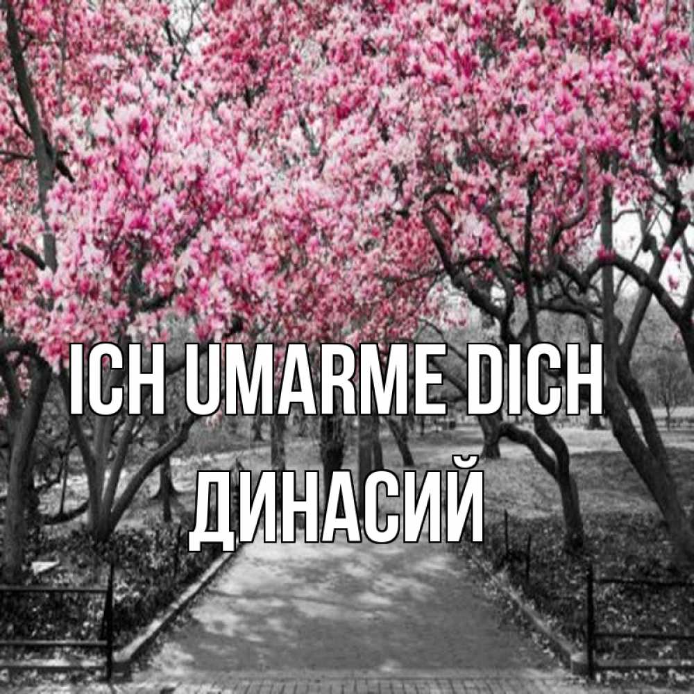Открытка на каждый день с именем, Динасий Ich umarme dich обработанное фото Прикольная открытка с пожеланием онлайн скачать бесплатно 