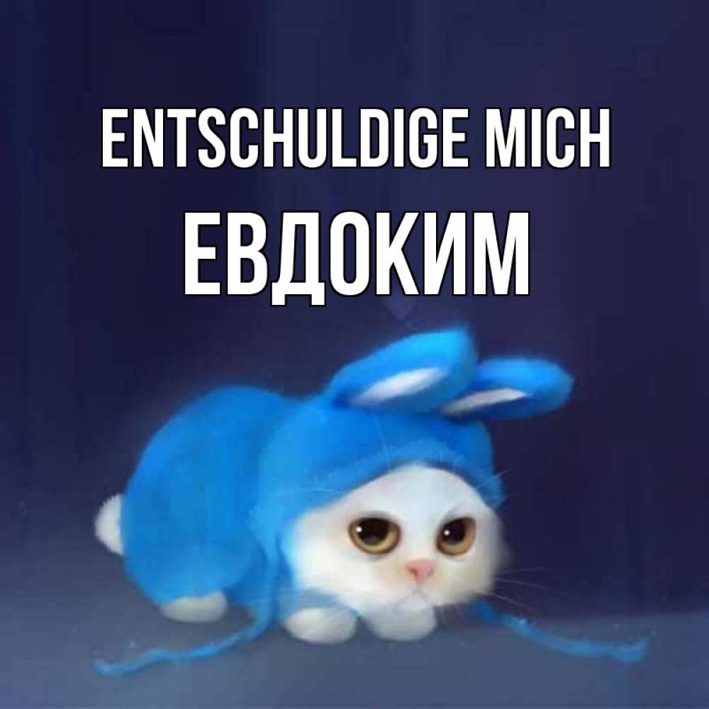 Открытка на каждый день с именем, Евдоким Entschuldige mich невинный котозай просит прощения Прикольная открытка с пожеланием онлайн скачать бесплатно 