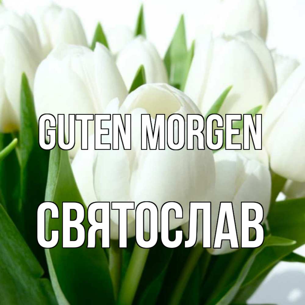 Открытка на каждый день с именем, Святослав Guten Morgen открытки на каждый день по именам Прикольная открытка с пожеланием онлайн скачать бесплатно 
