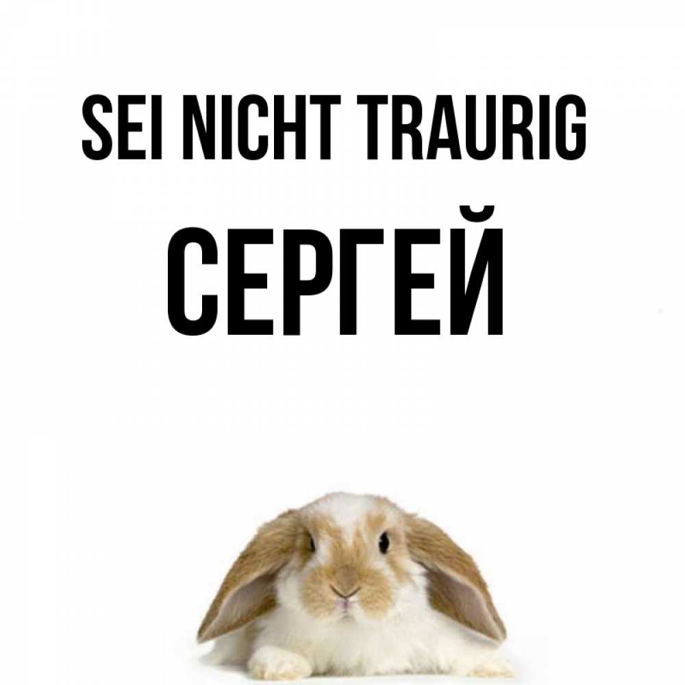 Открытка на каждый день с именем, Сергей Sei nicht traurig коричнево белый заяц с большими ушками Прикольная открытка с пожеланием онлайн скачать бесплатно 