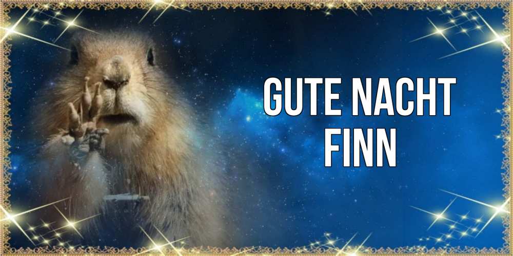 Открытка на каждый день с именем, Finn Gute Nacht спокойной ночи сладких снов Прикольная открытка с пожеланием онлайн скачать бесплатно 