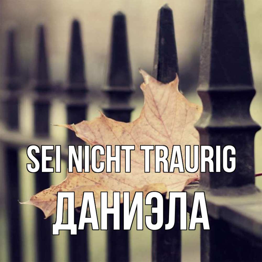 Открытка на каждый день с именем, Даниэла Sei nicht traurig лист клена Прикольная открытка с пожеланием онлайн скачать бесплатно 