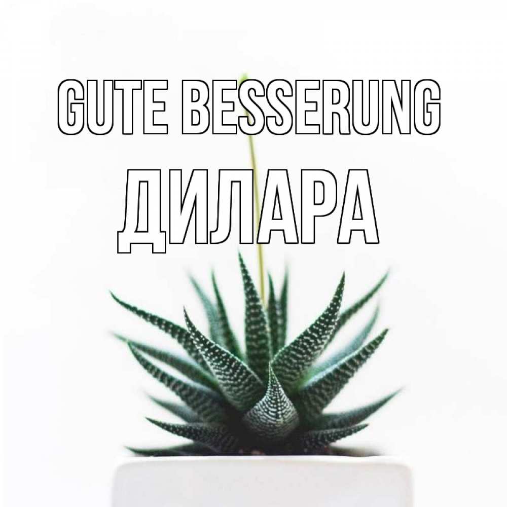 Открытка на каждый день с именем, Дилара Gute Besserung короче это непонятная колючка Прикольная открытка с пожеланием онлайн скачать бесплатно 