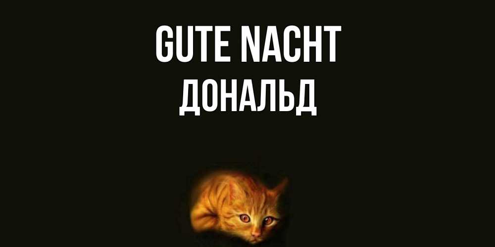 Открытка на каждый день с именем, Дональд Gute Nacht кот Прикольная открытка с пожеланием онлайн скачать бесплатно 