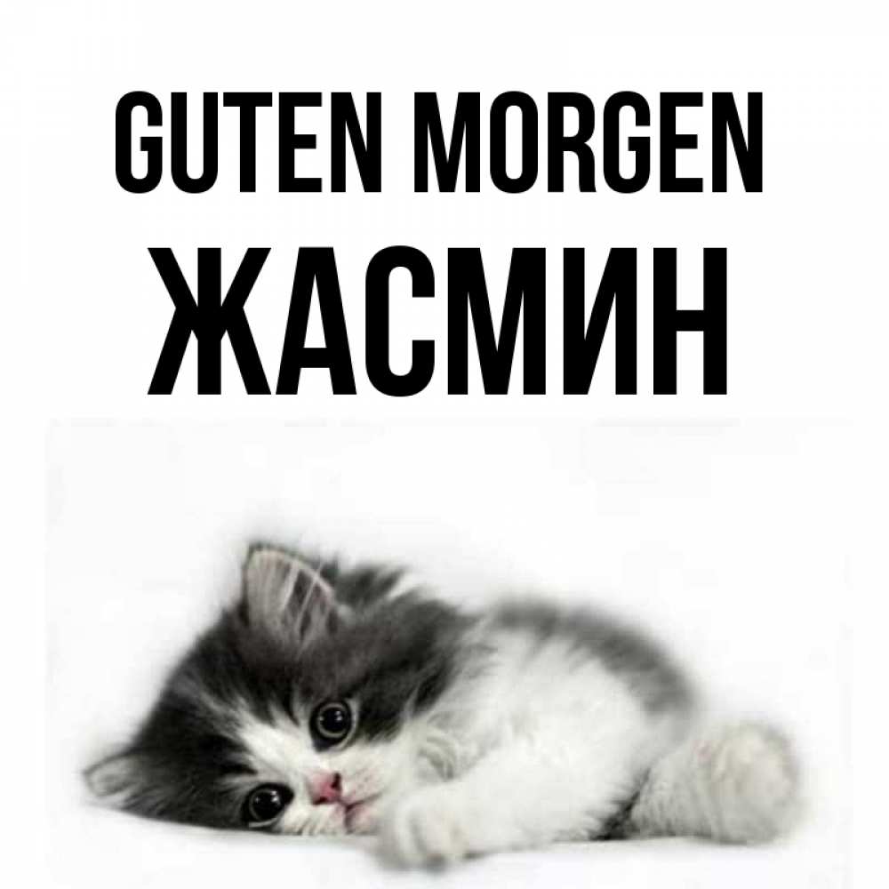 Открытка на каждый день с именем, Жасмин Guten Morgen кот лапки Прикольная открытка с пожеланием онлайн скачать бесплатно 