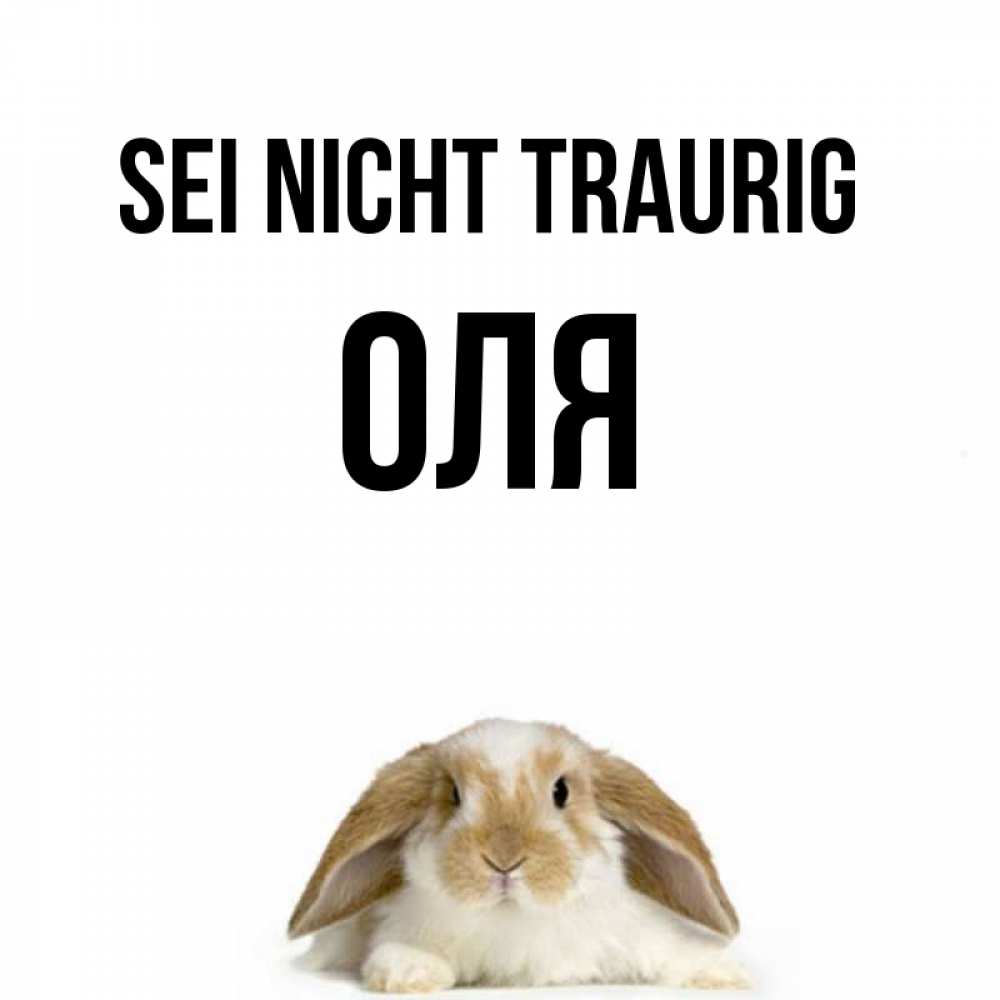Открытка на каждый день с именем, Оля Sei nicht traurig коричнево белый заяц с большими ушками Прикольная открытка с пожеланием онлайн скачать бесплатно 