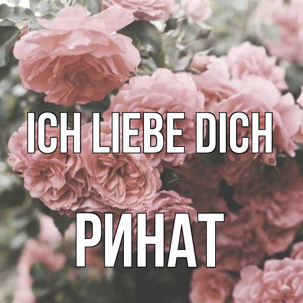 Открытка на каждый день с именем, Ринат Ich liebe dich розы 3 Прикольная открытка с пожеланием онлайн скачать бесплатно 