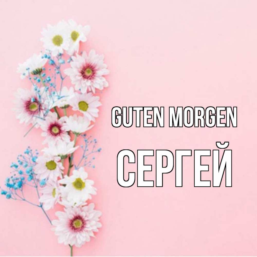 Открытка на каждый день с именем, Сергей Guten Morgen цветы с подписью Прикольная открытка с пожеланием онлайн скачать бесплатно 
