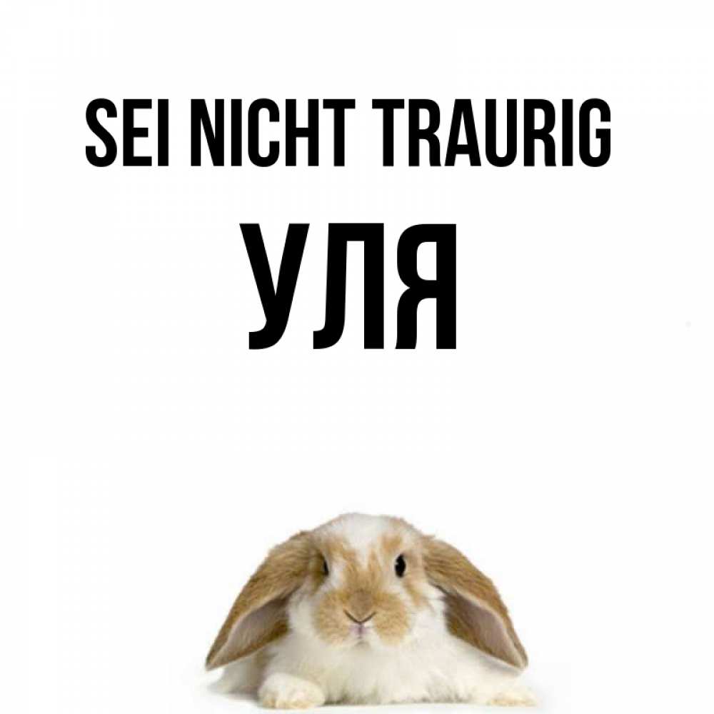 Открытка на каждый день с именем, Уля Sei nicht traurig коричнево белый заяц с большими ушками Прикольная открытка с пожеланием онлайн скачать бесплатно 