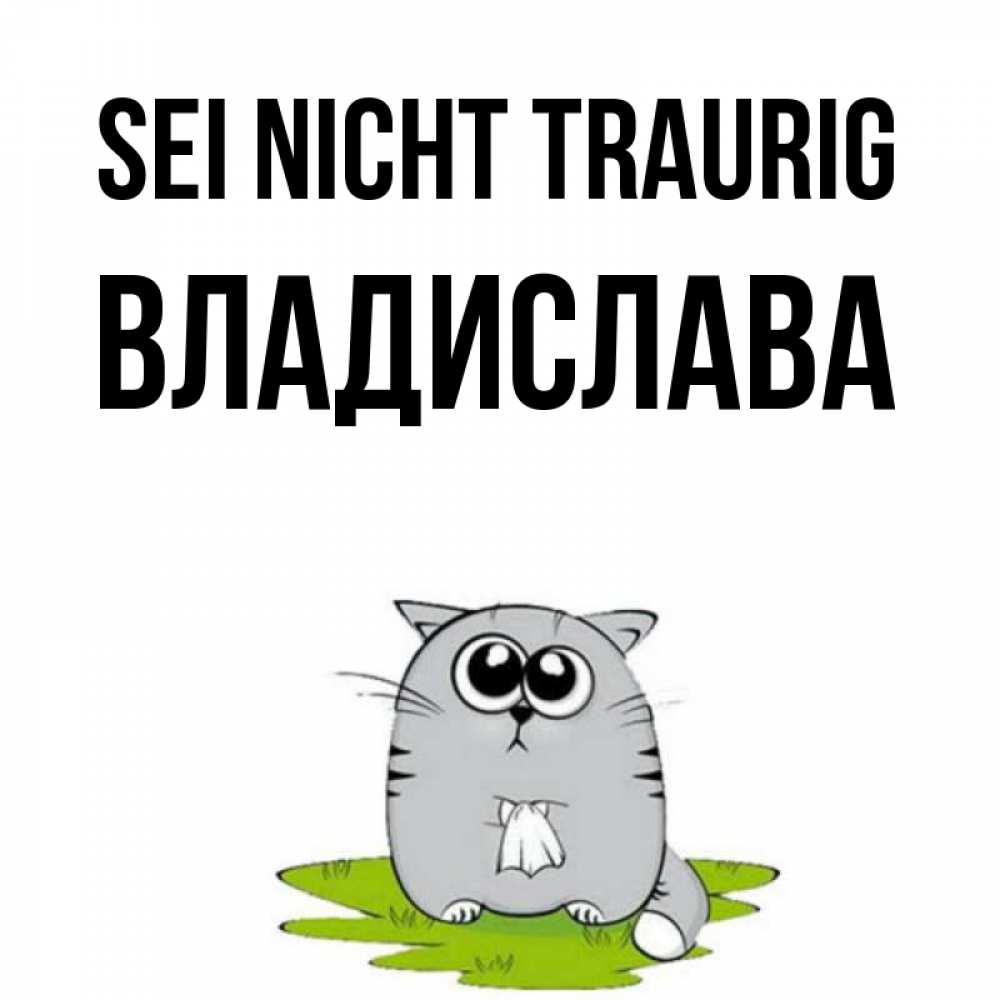 Открытка на каждый день с именем, Владислава Sei nicht traurig грустный котяра Прикольная открытка с пожеланием онлайн скачать бесплатно 