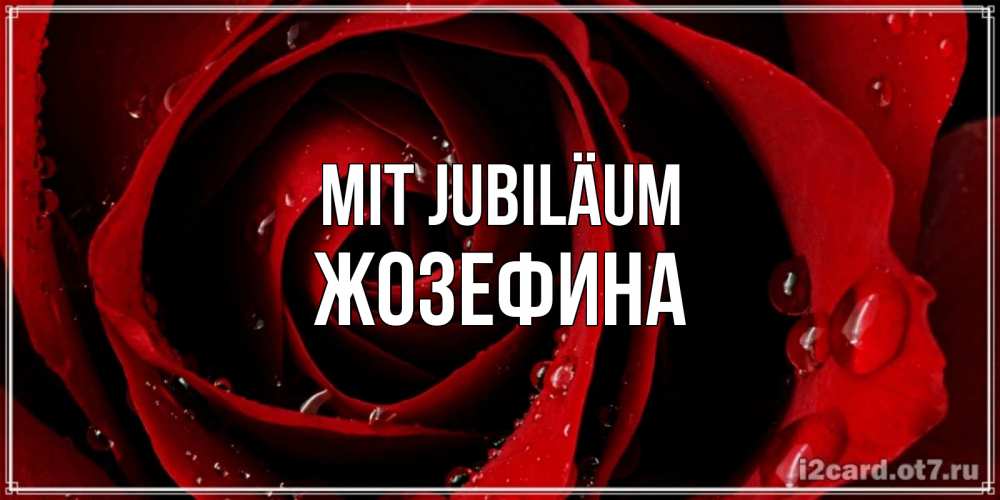 Открытка на каждый день с именем, Жозефина Mit Jubiläum крупная бордовая роза Прикольная открытка с пожеланием онлайн скачать бесплатно 