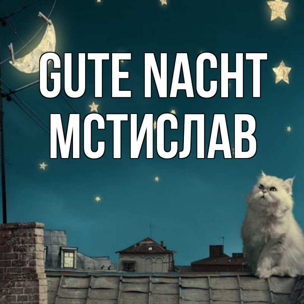 Открытка на каждый день с именем, Мстислав Gute Nacht белый кот сидит на крыше Прикольная открытка с пожеланием онлайн скачать бесплатно 