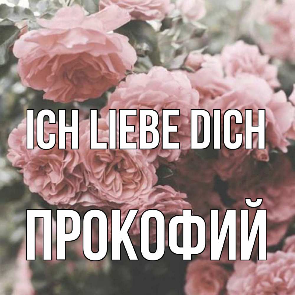 Открытка на каждый день с именем, Прокофий Ich liebe dich розы 3 Прикольная открытка с пожеланием онлайн скачать бесплатно 