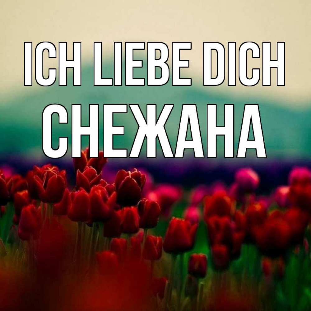 Открытка на каждый день с именем, Снежана Ich liebe dich тюльпаны 4 Прикольная открытка с пожеланием онлайн скачать бесплатно 