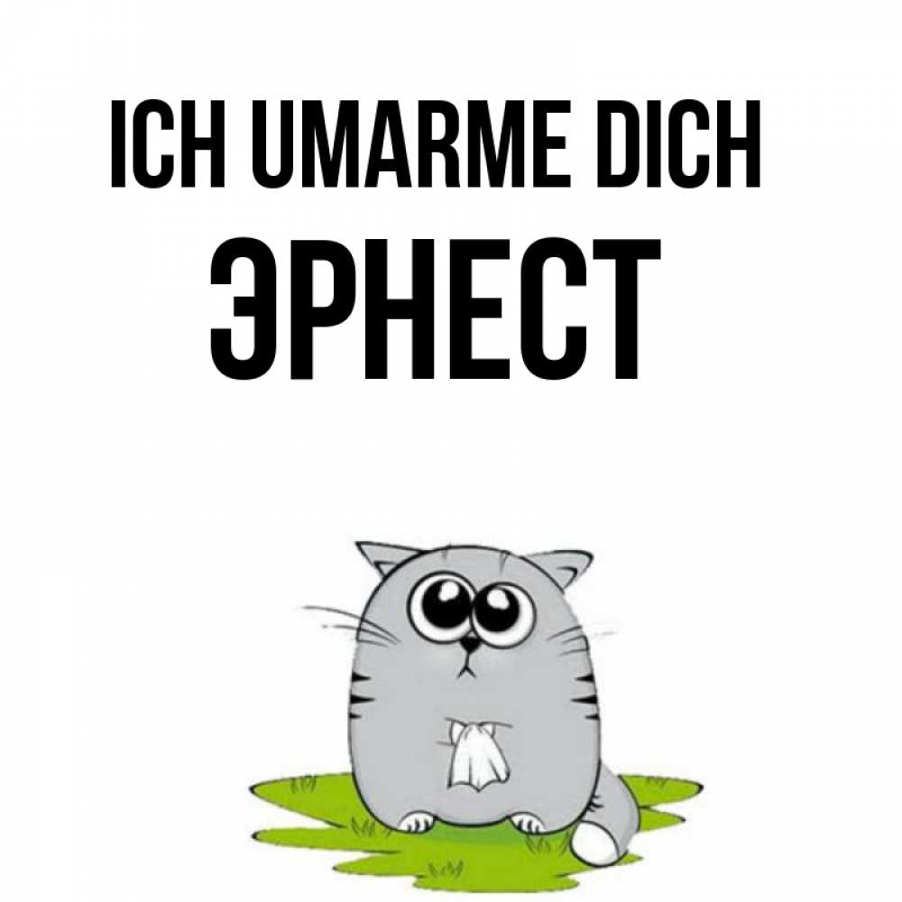 Открытка на каждый день с именем, Эрнест Ich umarme dich котик теребит платочек сидя на травке Прикольная открытка с пожеланием онлайн скачать бесплатно 