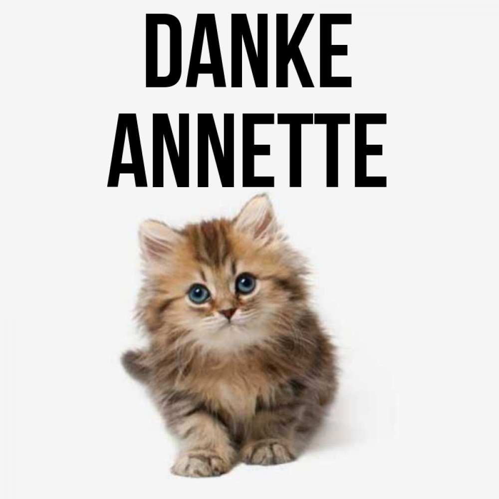 Открытка на каждый день с именем, Annette Danke пушистый котик Прикольная открытка с пожеланием онлайн скачать бесплатно 