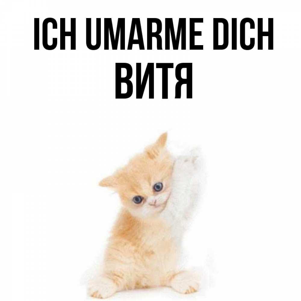 Открытка на каждый день с именем, Витя Ich umarme dich я хочу очень скорее обнимаешек Прикольная открытка с пожеланием онлайн скачать бесплатно 