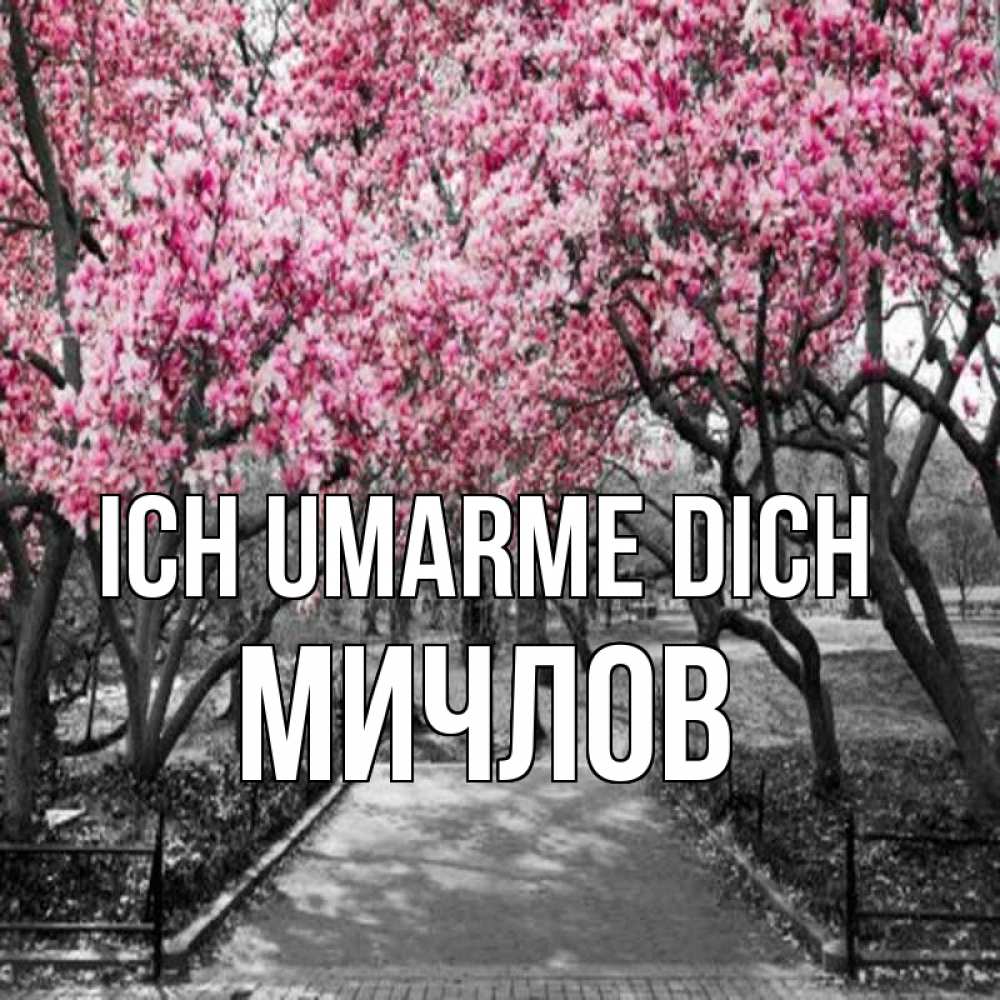 Открытка на каждый день с именем, Мичлов Ich umarme dich обработанное фото Прикольная открытка с пожеланием онлайн скачать бесплатно 