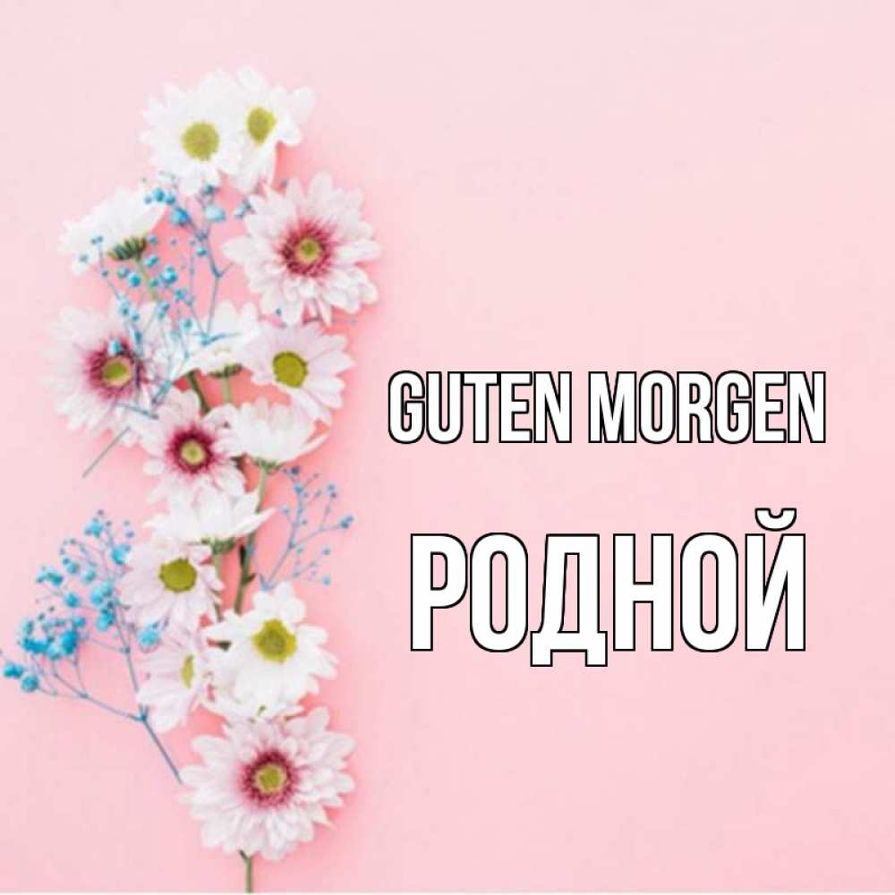 Открытка на каждый день с именем, Родной Guten Morgen цветы с подписью Прикольная открытка с пожеланием онлайн скачать бесплатно 