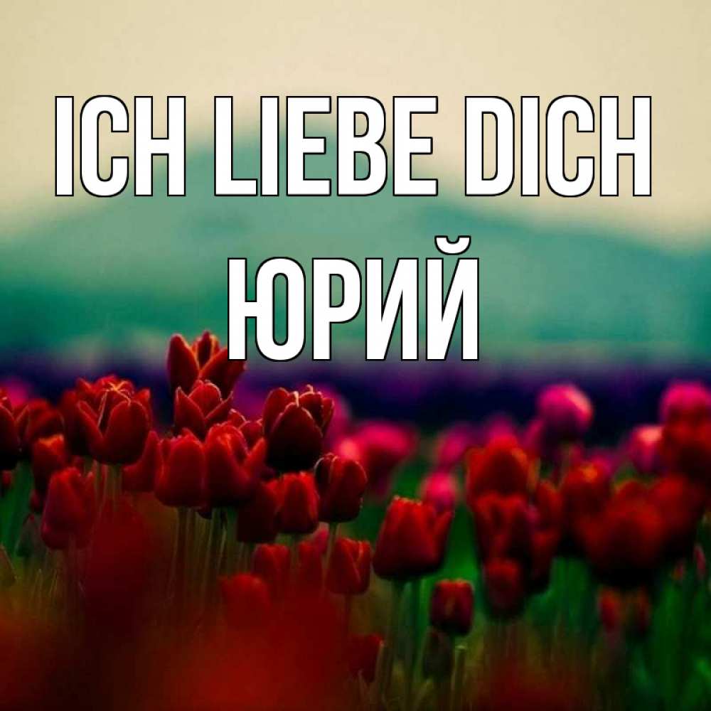 Открытка на каждый день с именем, Юрий Ich liebe dich тюльпаны 4 Прикольная открытка с пожеланием онлайн скачать бесплатно 