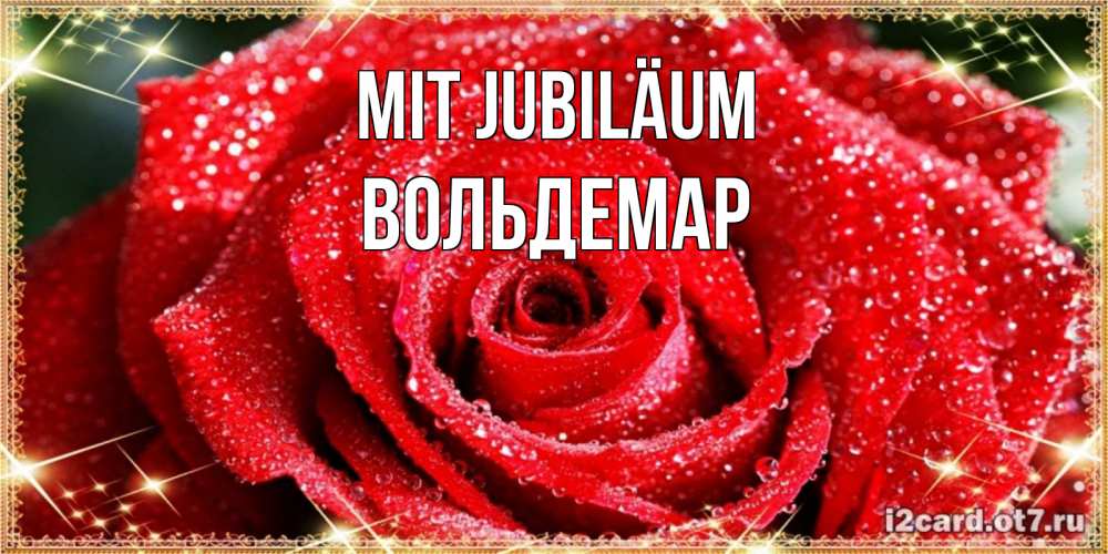 Открытка на каждый день с именем, Вольдемар Mit Jubiläum роса и роза. открытка с красивой розой Прикольная открытка с пожеланием онлайн скачать бесплатно 