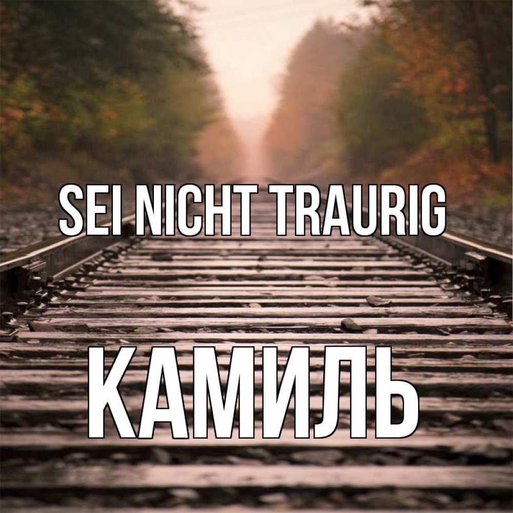 Открытка на каждый день с именем, Камиль Sei nicht traurig лес и железная дорога Прикольная открытка с пожеланием онлайн скачать бесплатно 