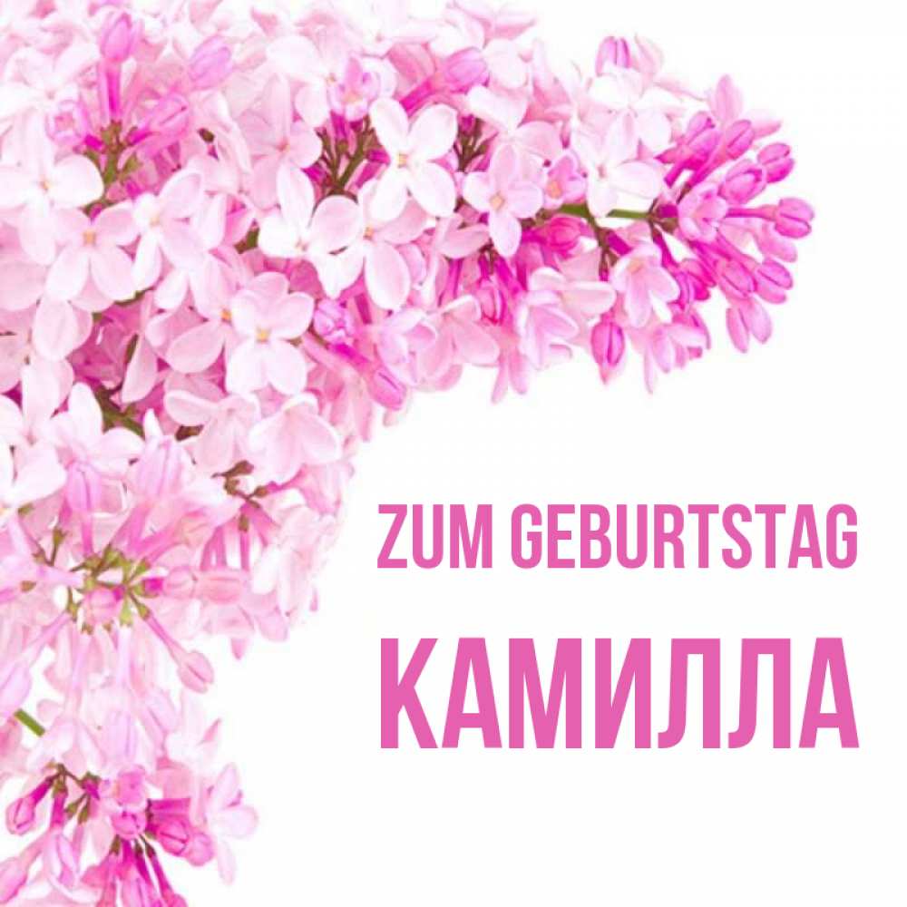 Открытка на каждый день с именем, Камилла Zum Geburtstag Сирень на белом фоне Прикольная открытка с пожеланием онлайн скачать бесплатно 