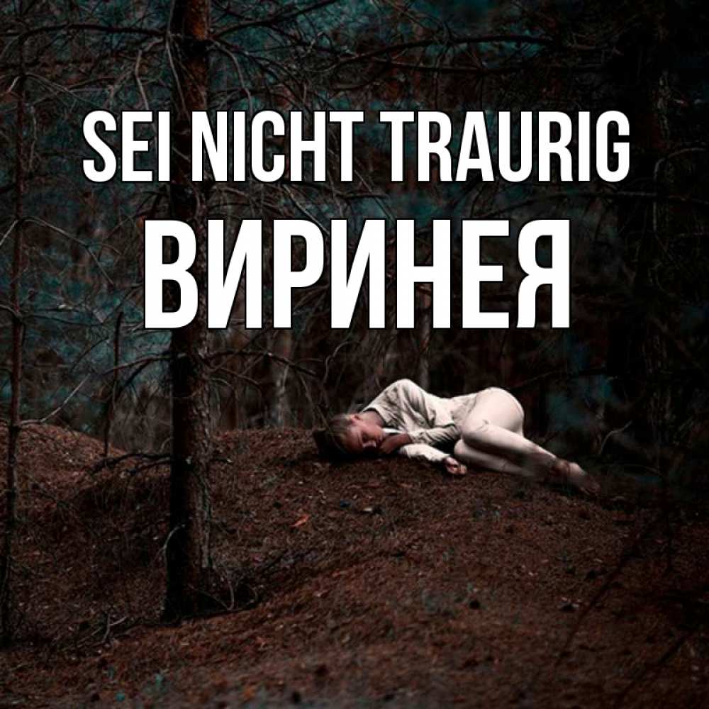 Открытка на каждый день с именем, Виринея Sei nicht traurig лес Прикольная открытка с пожеланием онлайн скачать бесплатно 